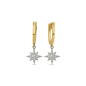 0.13 ct Diamond North Star Earrings